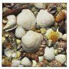 Terra Table Tops - Ref : 093 Muschel